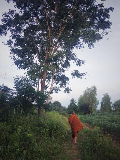 บิณฑบาตรคลองตะแบก